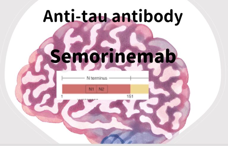 semorinemab