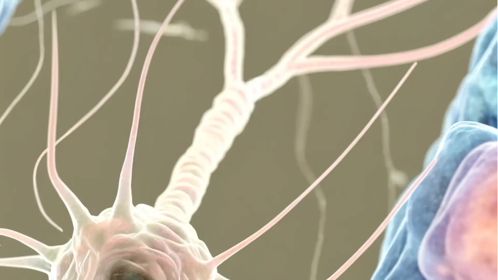 解鎖神經纖維絲neurofilaments生物標記的潛力:預測與監控神經疾病的新途徑