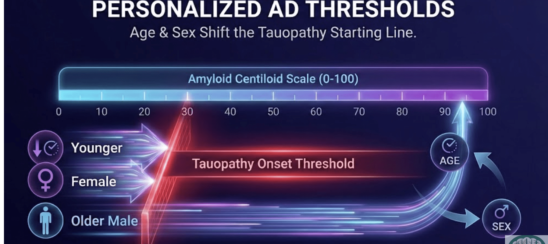 類澱粉PET（Amyloid PET）Centiloid門檻推估tauopathy起始：年齡×性別分層與治療窗意涵