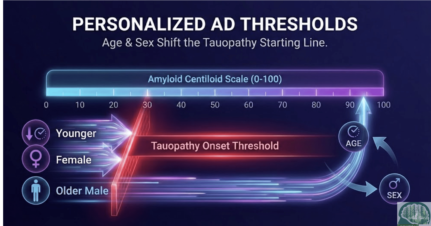 Amyloid PET Centiloid門檻如何預測tauopathy起點？年齡×性別的臨床分層新框架