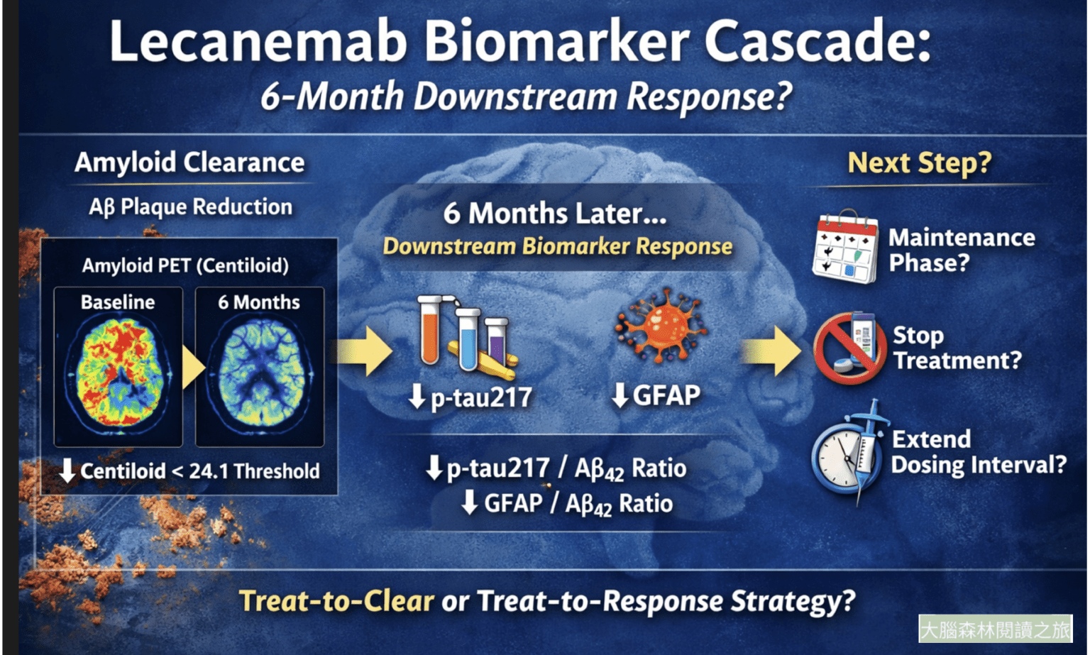 Lecanemab Rash Lecanemab 治療後的生物標記連鎖反應解析:6 個月是否足以啟動下游病理煞車? - 大腦森林閱讀之旅