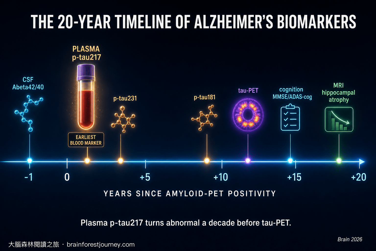 阿茲海默症的二十年：各生物標記何時依序轉為異常