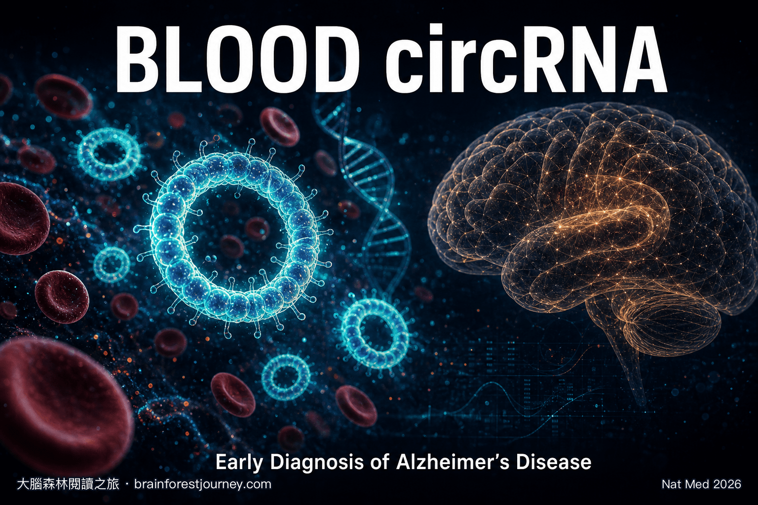 血液環狀 RNA circRNA 阿茲海默症早期診斷