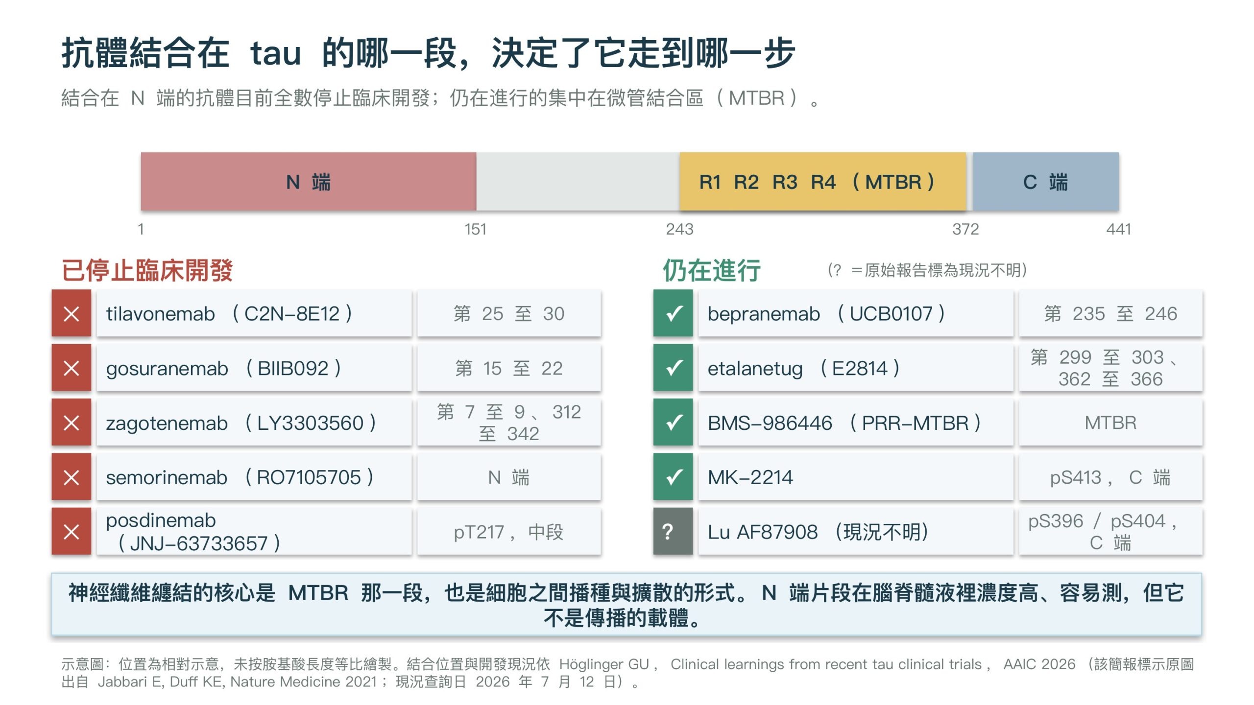 tau 蛋白示意圖與抗體結合位置：tau 全長 441 個胺基酸，分為 N 端、中段（含第 243 至 372 的 R1 至 R4 微管結合區 MTBR）與 C 端。已停止臨床開發者全部結合在 N 端或 pT217：tilavonemab 第 25 至 30、gosuranemab 第 15 至 22、zagotenemab 第 7 至 9 與 312 至 342、semorinemab N 端、posdinemab pT217。仍在進行者集中在 MTBR 與特定磷酸化位點：bepranemab 第 235 至 246、etalanetug 第 299 至 303 與 362 至 366、BMS-986446 位於 MTBR、MK-2214 pS413；Lu AF87908 現況不明