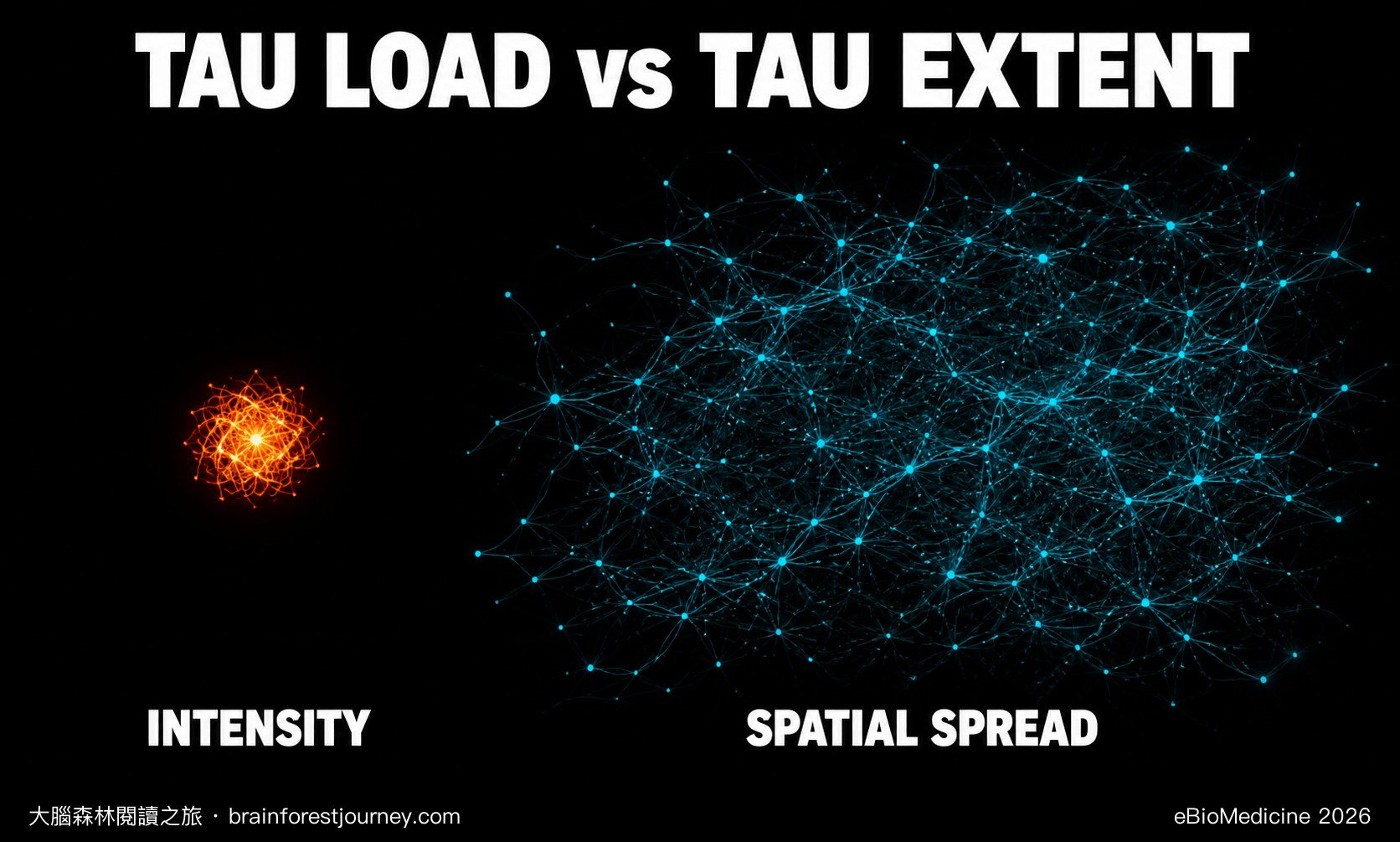 tau PET 該量強度還是量範圍？tau extent 與腦代謝、認知的關聯
